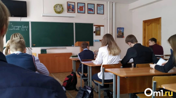 «Мой ребенок испуган»: в Новосибирске мама второклассника пожаловалась на постоянные избиения сына в школе