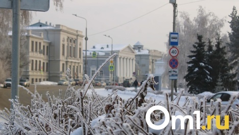 В трёхдневную рабочую неделю омичи столкнутся со снегопадом, порывистым ветром и перепадом температур