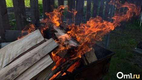 Нельзя ходить за грибами и жарить шашлыки: в МЧС рассказали, как работает особый противопожарный режим