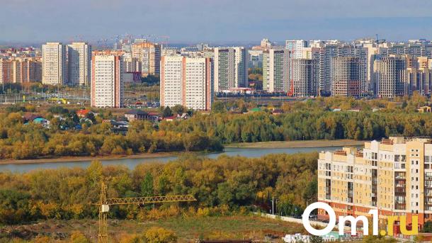 «Снежинки» из пепла: в Омске выпали осадки в виде золы