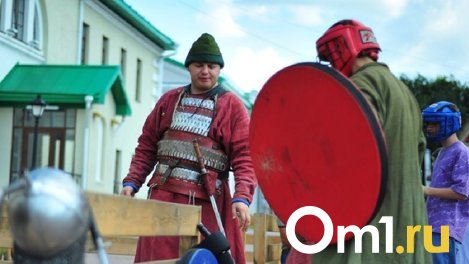 Омским казакам выделили 10 миллионов на охрану дорожных камер