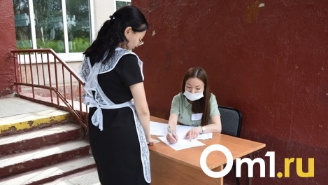 Как пройдёт итоговая аттестация у иностранцев, рассказал замминистра образования Новосибирской области