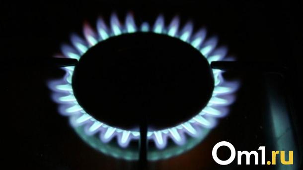 В 64 населённых пунктах Новосибирской области проведут газ