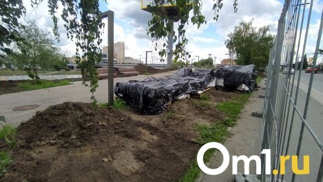 В Омске всё-таки вырубили часть берёз на месте будущей Аллеи олимпийцев