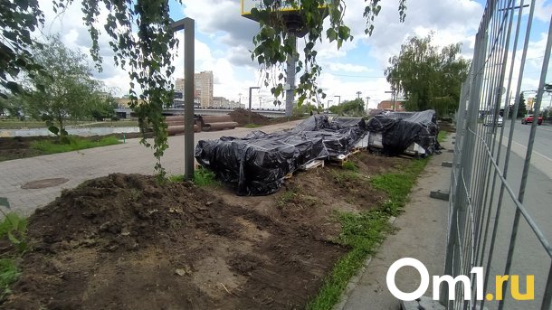 В Омске всё-таки вырубили часть берёз на месте будущей Аллеи олимпийцев