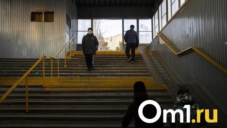 В Омске обновят подземные переходы у цирка и у остановки «Турист»