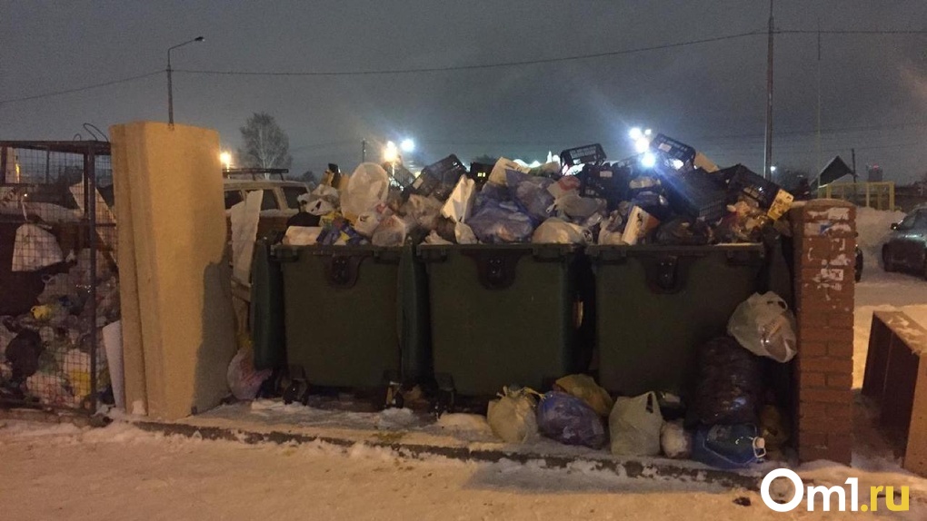 Новогодние морозы вызвали мусорный коллапс в Новосибирске