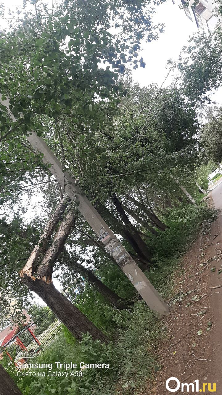 Изображение фоторепортажа