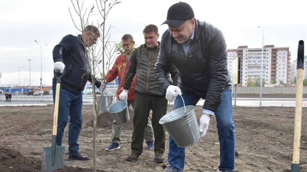 Весной в Омске появятся более 13 тысяч новых деревьев