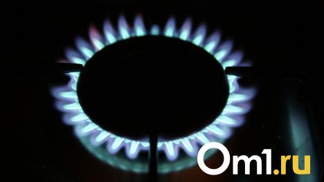 Омский суд вернул газ жильцам элитной малоэтажки