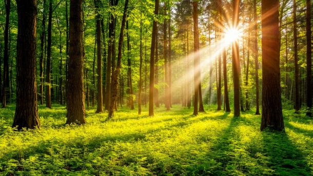 Новосибирск +28 °C: завтра последний день лета перед грозами