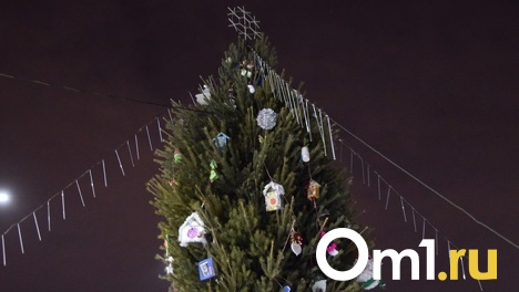 Новый год уже близко: в Омске определили места для ёлочных базаров - АДРЕСА