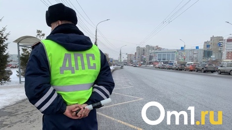 Условный срок получила омичка, избившая полицейского