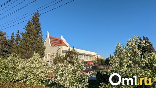 Есть угроза урожаю: омичей предупредили об опасном явлении погоды