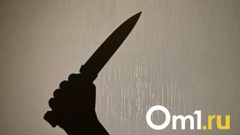 Омича, который зарезал человека при двух спящих друзьях, отправили в колонию