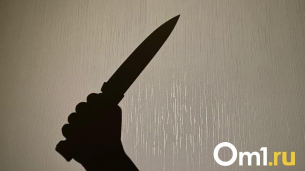 Омича, который зарезал человека при двух спящих друзьях, отправили в колонию