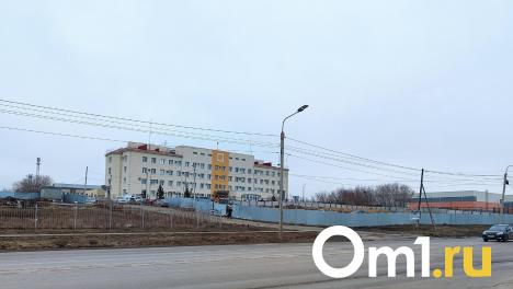 Роковая канава: омич поплатился за слишком эмоциональный конфликт с соседкой