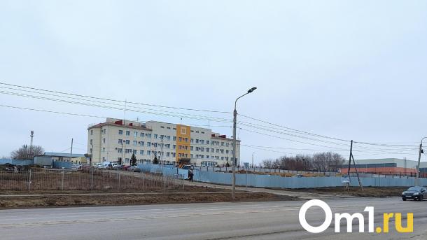 Роковая канава: омич поплатился за слишком эмоциональный конфликт с соседкой