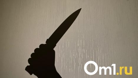Экс-председателя Совета директоров «Омскшины» Тархова и его жену нашли убитыми