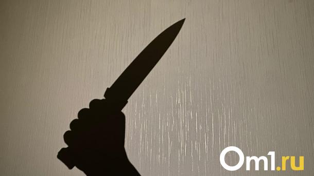 Экс-председателя Совета директоров «Омскшины» Тархова и его жену нашли убитыми