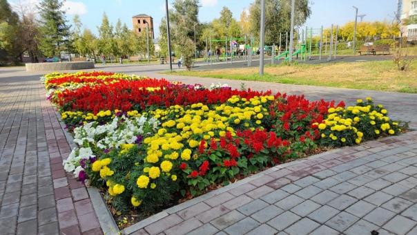 В следующем году в Омске обустроят две новые клумбы