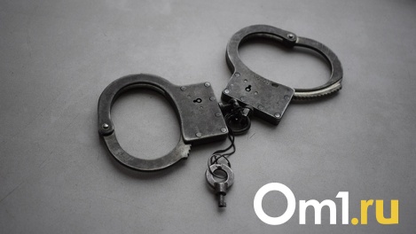 Суд продлил меру пресечения обвиняемому в отстреле 15 косуль новосибирским полицейским