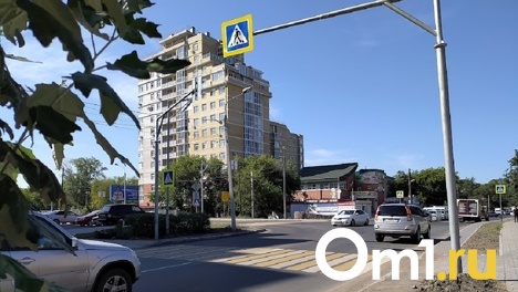 Омич с сотней нарушений сбил 17-летнюю девушку в Санкт-Петербурге