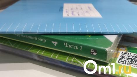 Мошенники используют электронные дневники омских школьников для взлома Госуслуг