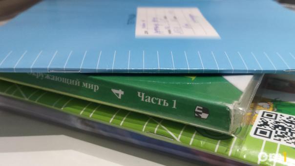 Мошенники используют электронные дневники омских школьников для взлома Госуслуг