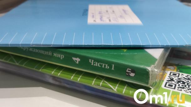 Мошенники используют электронные дневники омских школьников для взлома Госуслуг