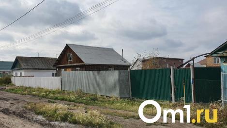 Мощный ураган оставил без газа и света несколько домов в омском селе