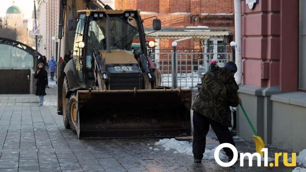 Шелест назначил ответственного за «генеральную уборку» Омска