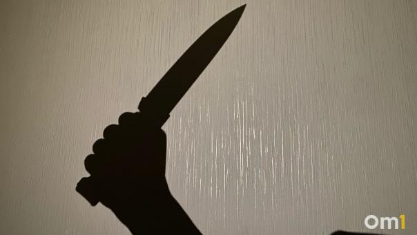 Под Новосибирском женщина заколола мужа в гостях у знакомых