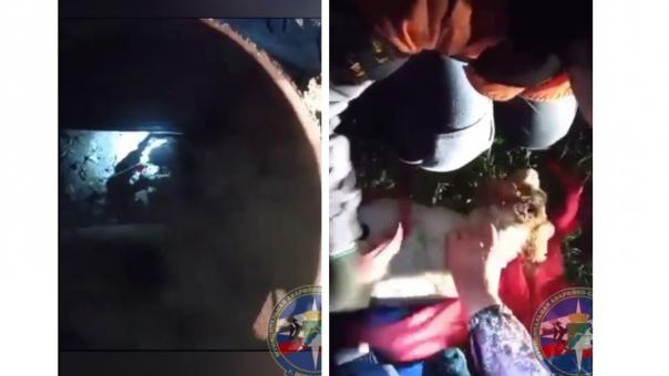 Упавшую в тепловую камеру собаку спасли в Новосибирске