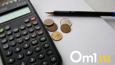 В Новосибирской области с 1 февраля увеличены пособия для семей с детьми