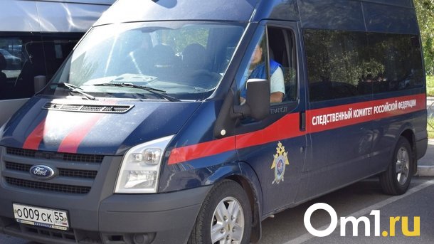 После гибели девочки в интернате под Новосибирском следователи возбудили уголовное дело