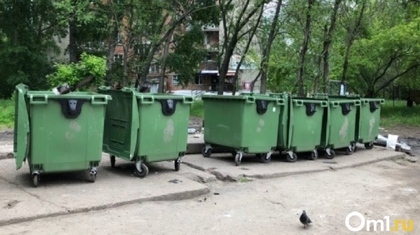 Способ улучшить состояние контейнерных площадок поддержал регоператор «Экология-Новосибирск»