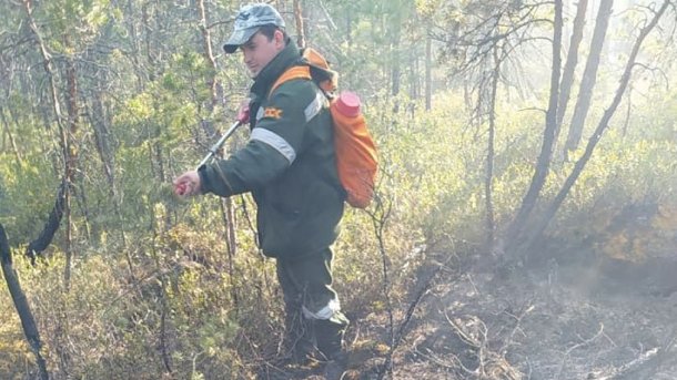 В одном из районов Омской области из-за грозы случился пожар