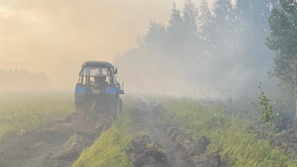 В Омской области более пяти часов тушили лесной пожар