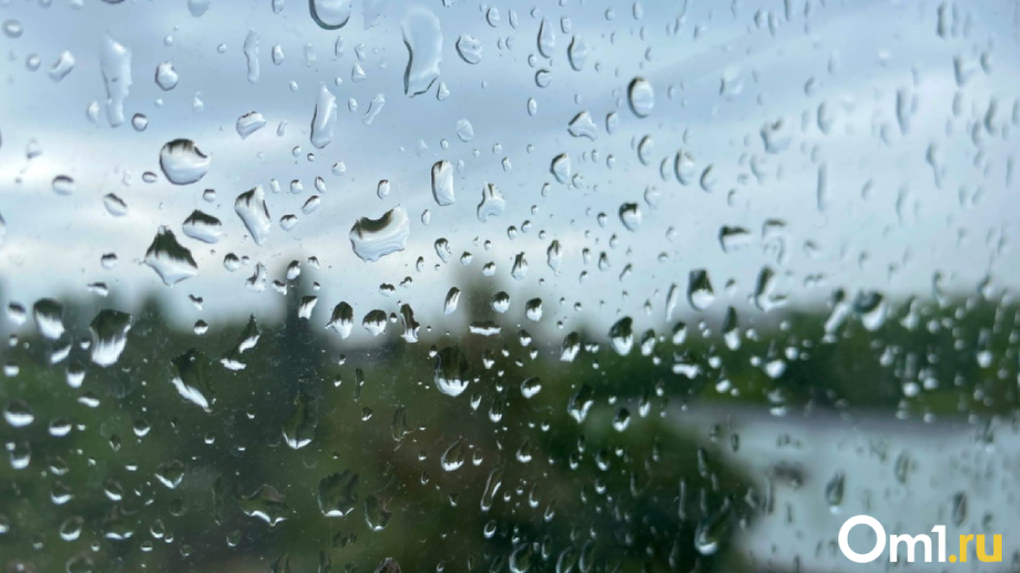 В МЧС предупредили омичей о дожде, грозе и штормовом ветре