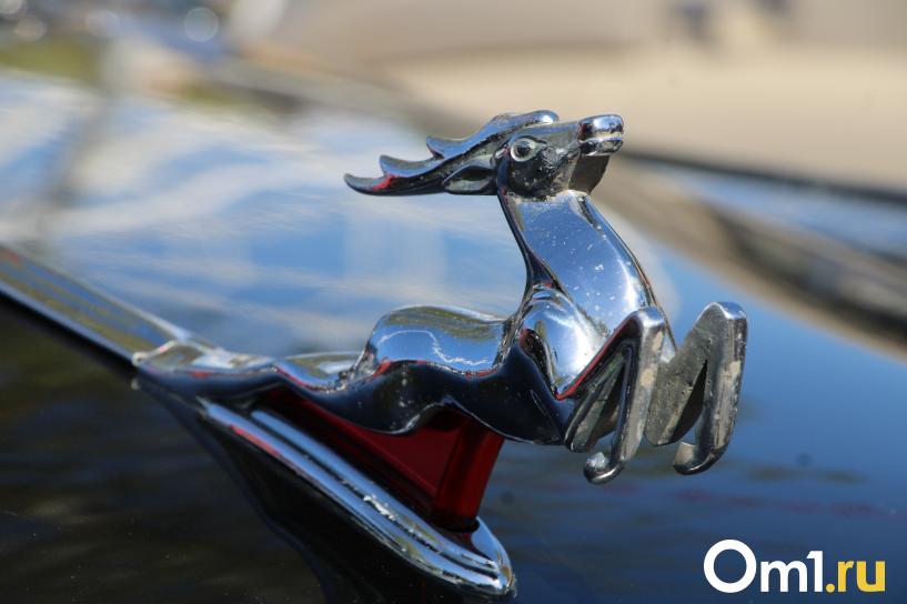 Изображение фоторепортажа