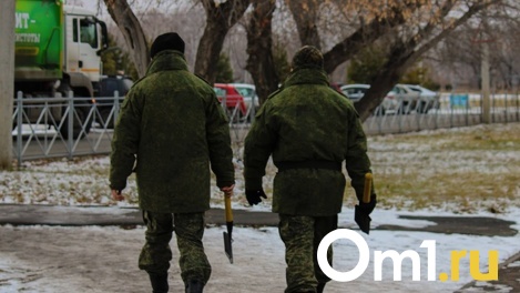 В Омске пьяный военный жестоко избил своего начальника из-за недовольства службой