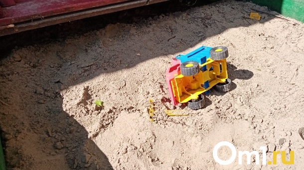 Полицейские нашли маму 6-летнего мальчика из Уссурийска, который потерялся в Омске
