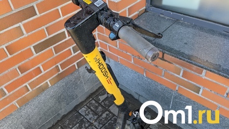 Бывший мэр Омска Оксана Фадина о самокатах: «Оформите все документы и дайте уже людям покататься»