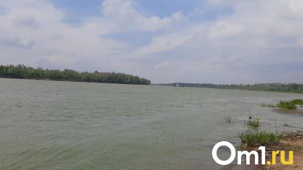 Уровень воды в Иртыше на севере Омской области стал падать
