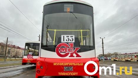 Очевидцы: омич взял сам себя в заложники в трамвае