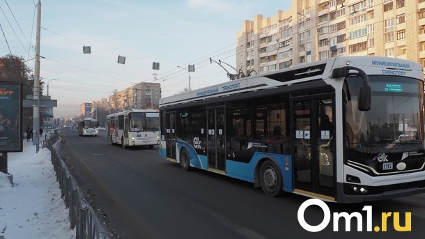 В Омске запущен процесс реорганизации ПАТП №8