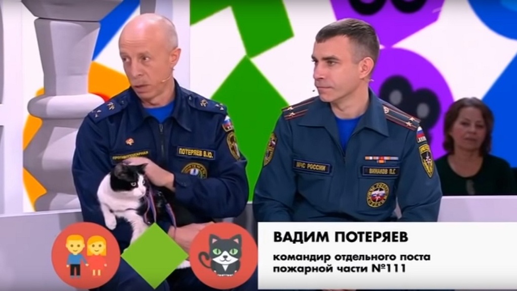 Новосибирский котенок Гидрант стал героем телешоу на Первом канале