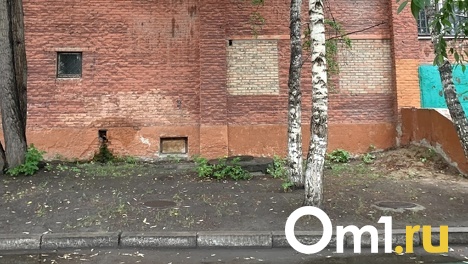 Омич разобрал стену, чтобы обокрасть пенсионера