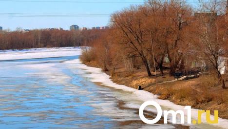 Река в Омской области вышла из берегов
